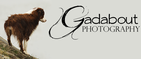 Gadabout Photography
